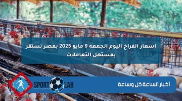 أسعار الفراخ اليوم الجمعة 9 مايو 2025 بمصر تستقر بمستهل التعاملات